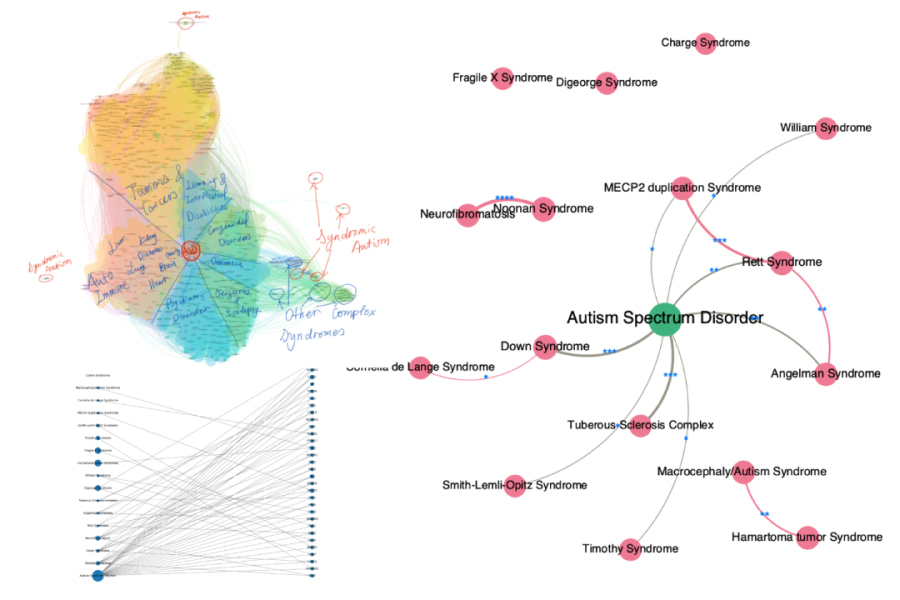 Network analysis for genes shared by autism and comorbid disorders.